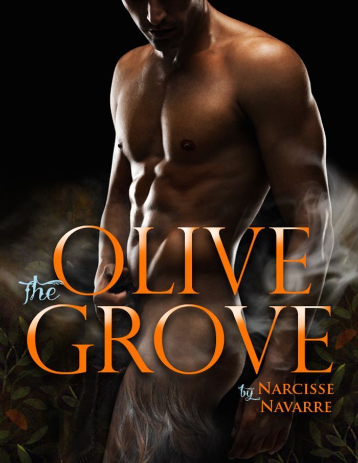 The-Olive-Grove-0.jpg
